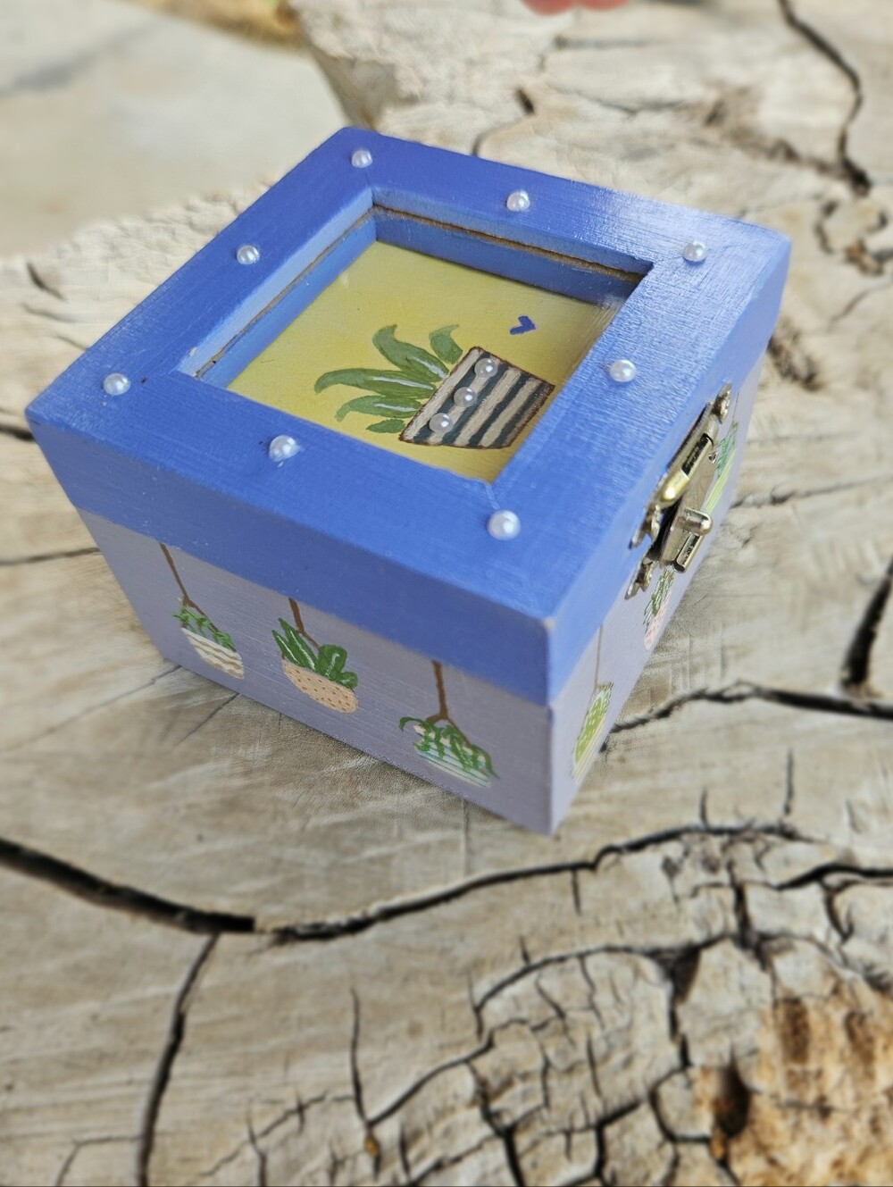 Mini Wooden Box w/ Shadow Box Top